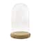 9.5" Glass Cloche with Wood Base by Ashland®